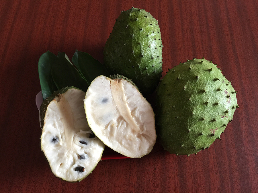 Le Corossol Un Fruit Utilis Depuis Des Si cles Dans La M decine Le Corossol Un Fruit Utilis Depuis Des Si cles Dans La M decine